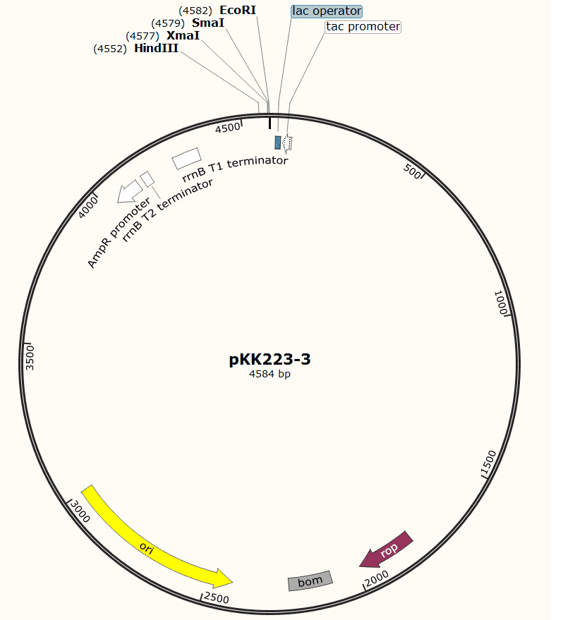 PKK223-3 plasmid - 2 ug