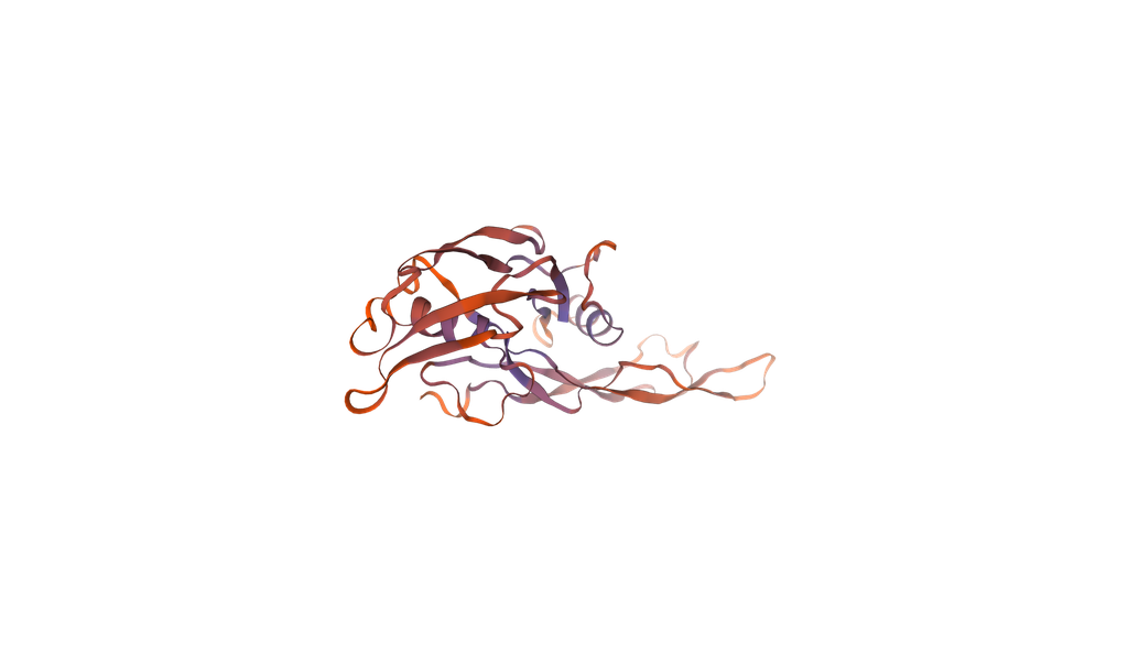 Recombinant Mouse Muellerian-inhibiting factor (Amh), partial (450-552aa), N-terminal 6xHis-tag, E. coli expression - 1 mg