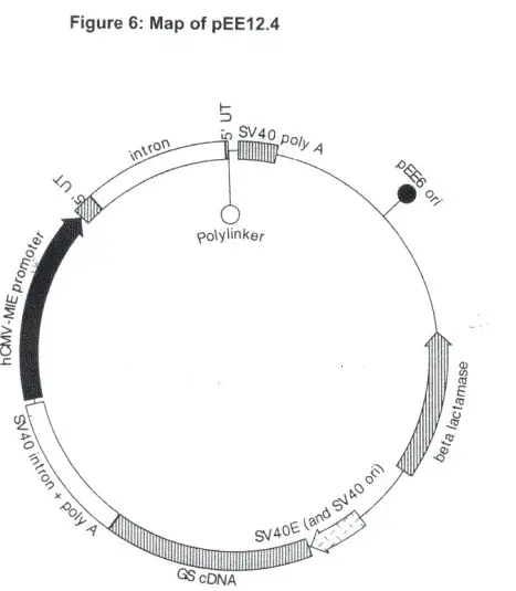 pEE12.4 Plasmid - 2 ug