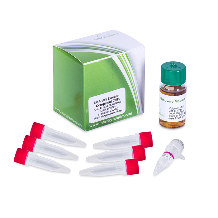EHA105 Chemically Competent Agrobacterium - 6X50 µg