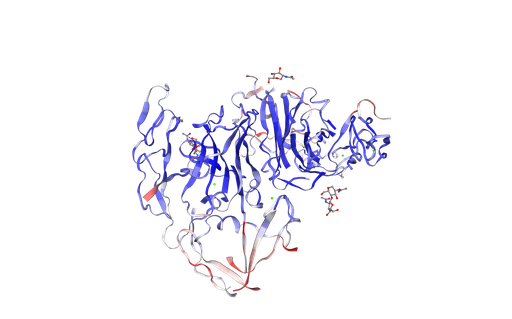 [0399-CSB-MP757720HWW-100UG] Recombinant Human cytomegalovirus Protein UL141 (UL141), partial, mammalian cells expression - 100 ug